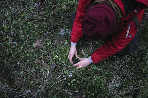 ELF otsib noore looduskaitsja auhinna kandidaate