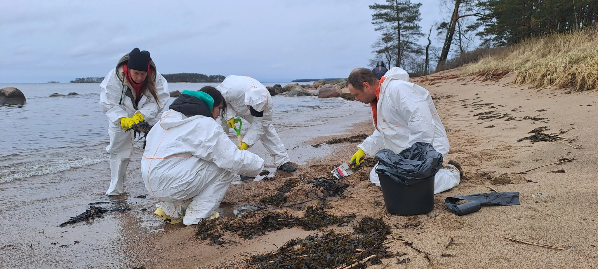 Masuudireostus Lääne-Virumaa randades
