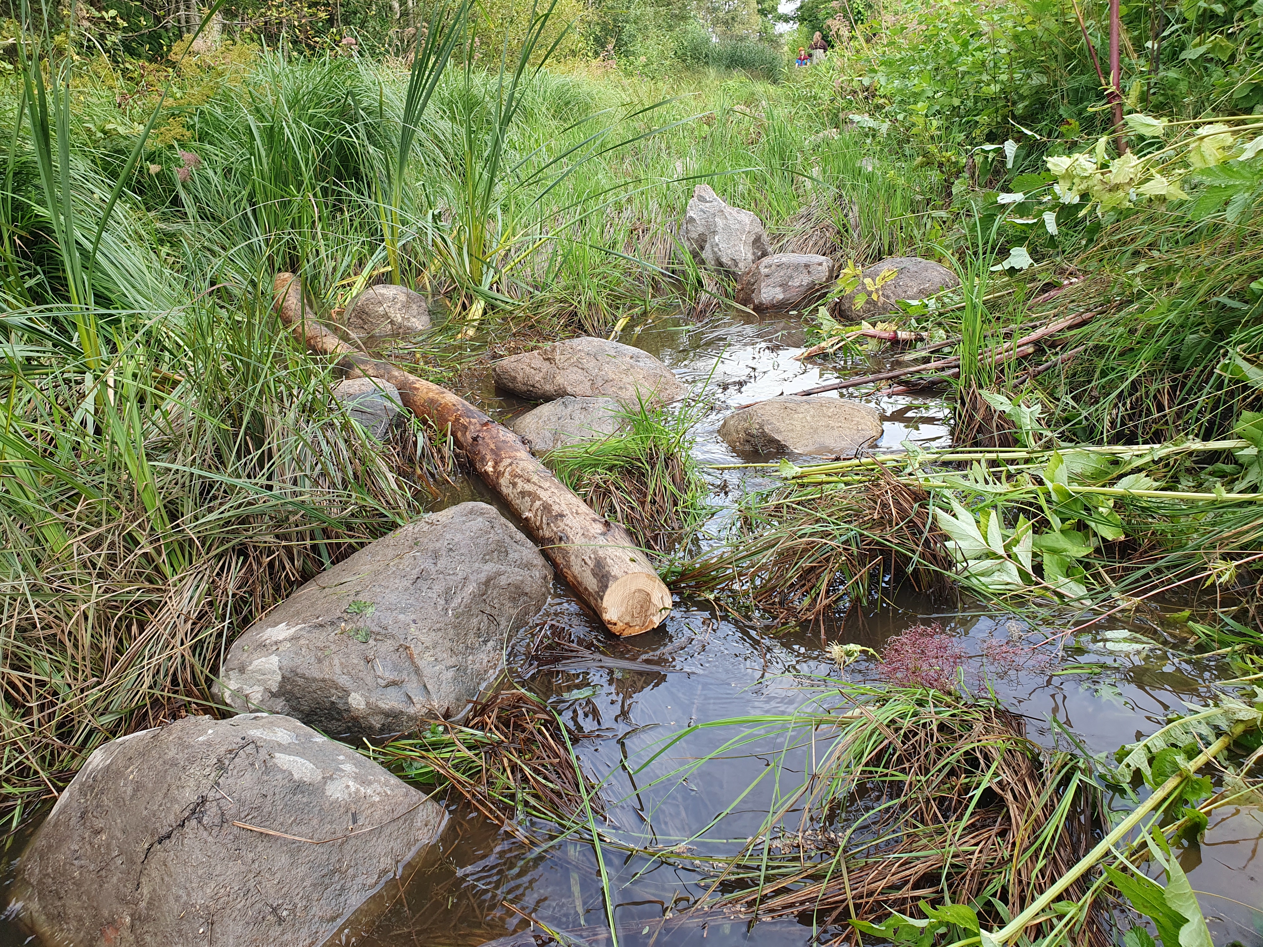 Siia kirjutame esimese uudise