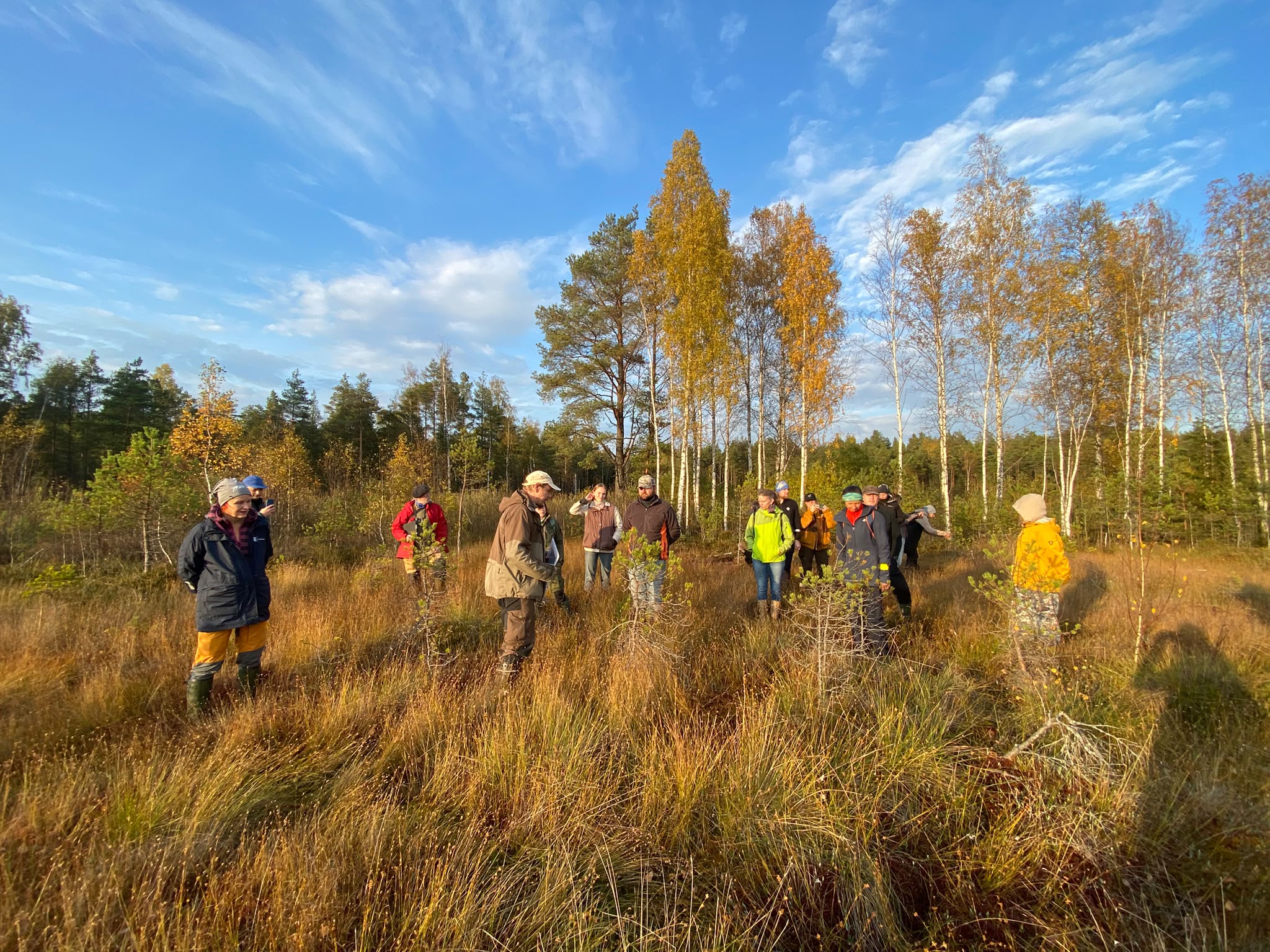 Ülevaade ja galerii: Soosaare soo on aastate jooksul hästi taastunud