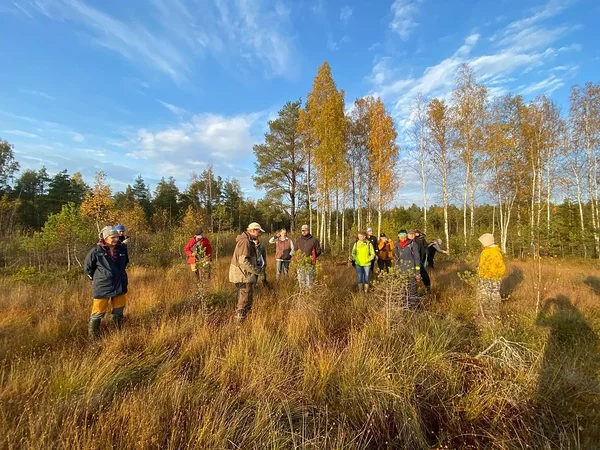 Ülevaade ja galerii: Soosaare soo on aastate jooksul hästi taastunud