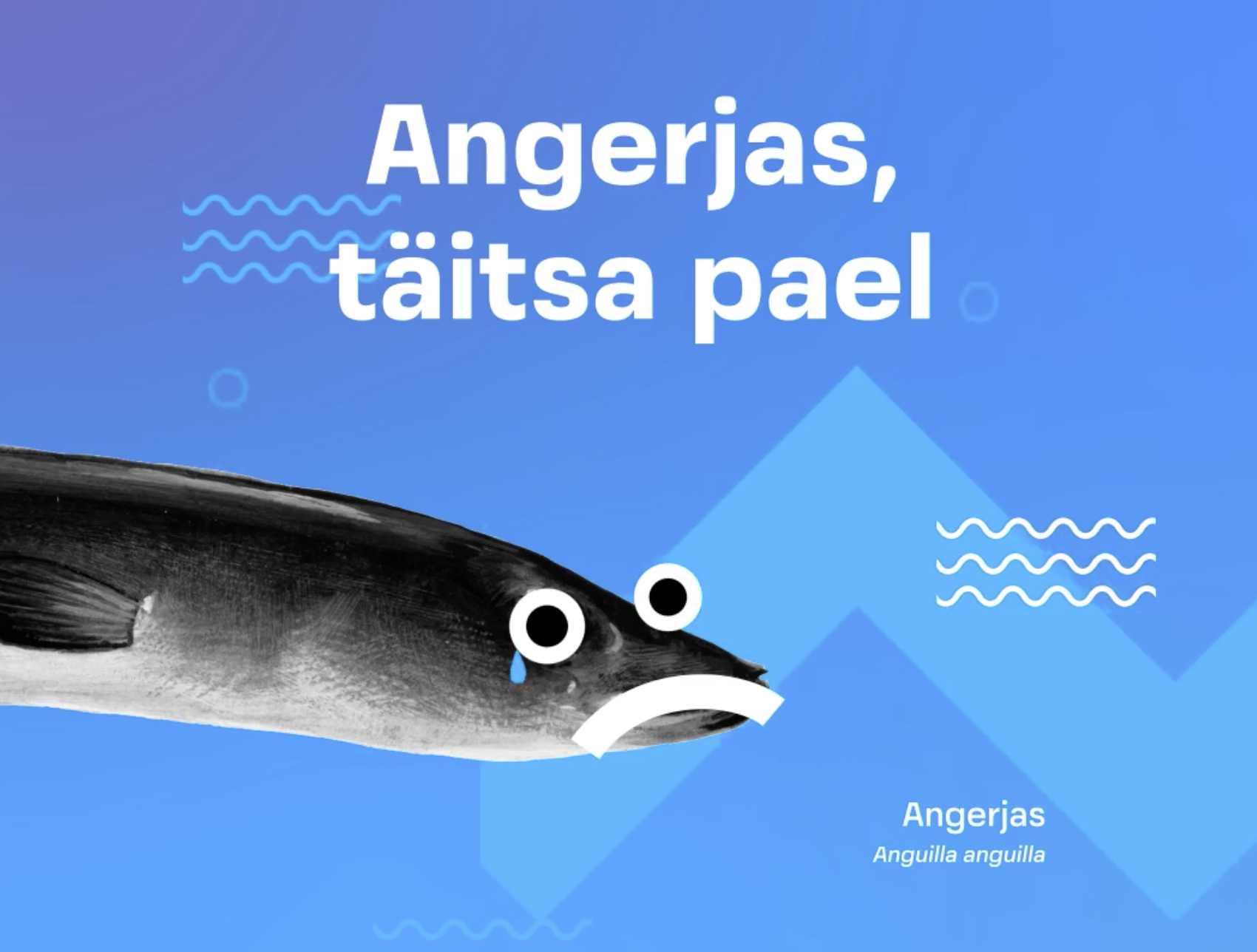Kriitilises seisus angerjas vajab kaitsestaatust
