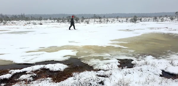 Konverents “Ah soo!” toob kokku akadeemikud, Eesti soode asjatundjad ja otsustajad